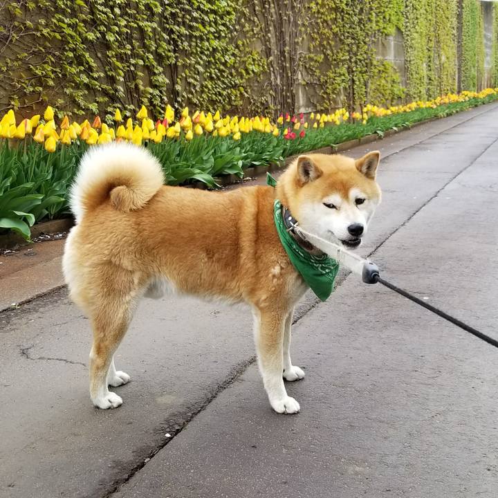 92101b76 465a 44f9 ad85 5f6a63a50b2e 1523833469377