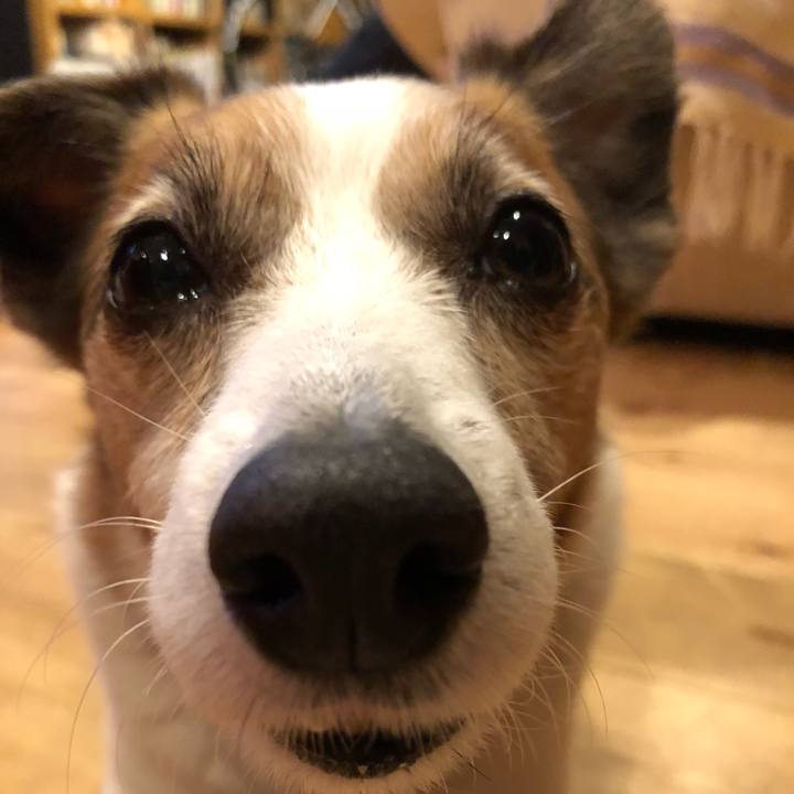 921055af 55f1 4fcb a1ed 17e2c69702aa 1523565709237