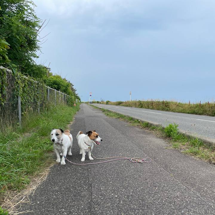 921065ff 30ef 46e5 9fe3 50141269edb5 1687818395310