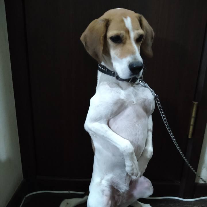 9210917f 4b6d 402d b4bb 35def36aee63 1635940487673