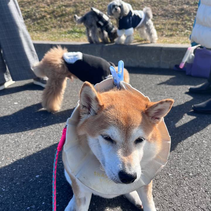 9210c20a 7208 4377 8634 27490a7c590e 1705553847644