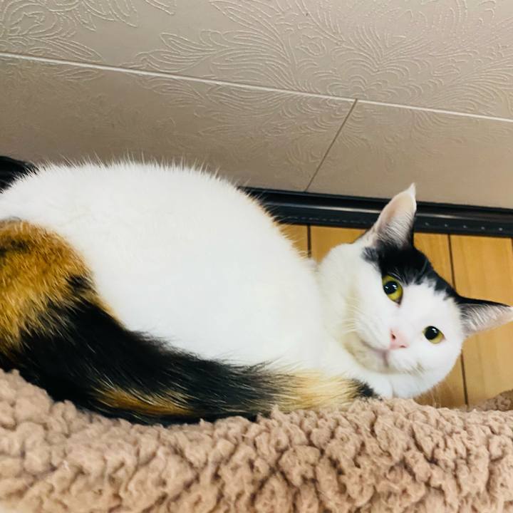 9210dcb8 5190 41ed 836b 42e4ca37ac9f 1698795613042