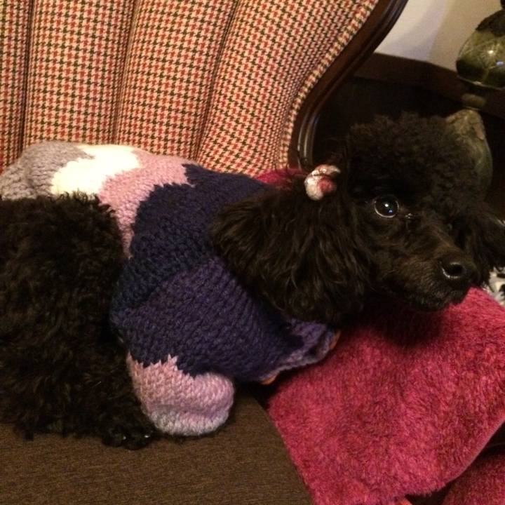 9210eca5 5cb6 4ab4 b775 8b0897bd1af4 1544083907036