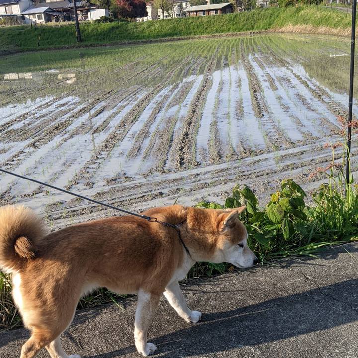 9210f8e3 d270 48c6 a242 ec3a94507335 1744924266911