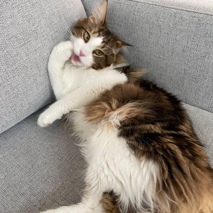 9210fc11 8805 45c1 86d9 1e3e787d7944 1646459100335