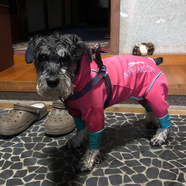 92115367 b670 4d6f b1ae 535393a0cb2e 1654526326971