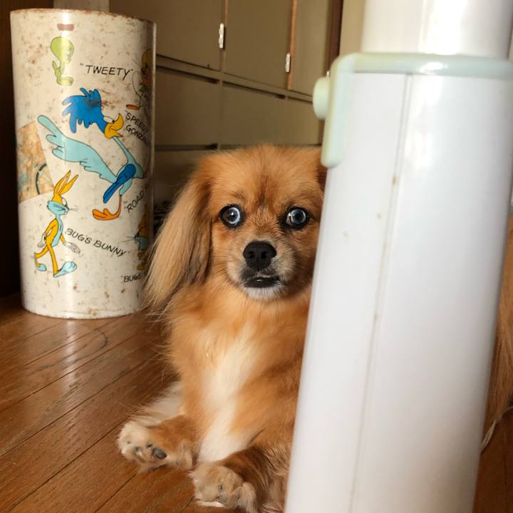 92119b11 e08e 4e15 9306 8cb668f432f5 1565646162890