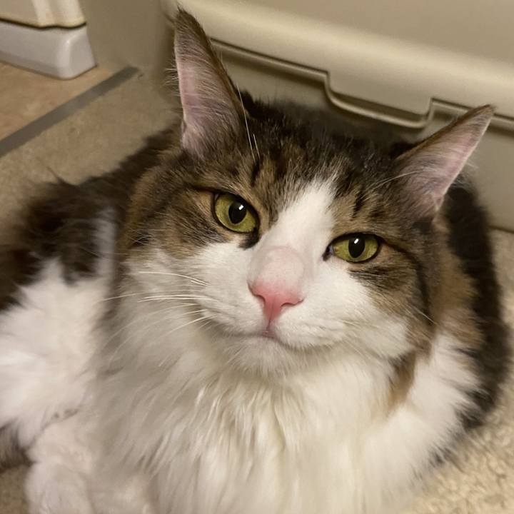 9211bf41 75db 4e15 ba0f a012e8f079a2 1734401284674