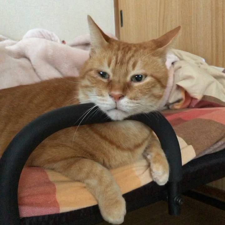 9211c0a8 b12c 4b61 b53e 2534282d0727 1709329220061