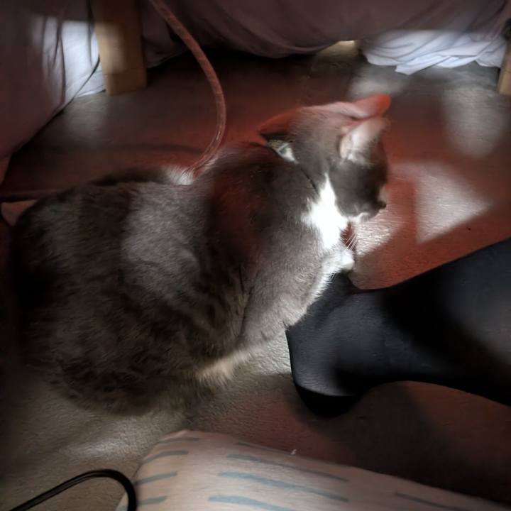 9211cfc4 01a2 4c9a 97d6 1cf9a7f95400 1770774016891