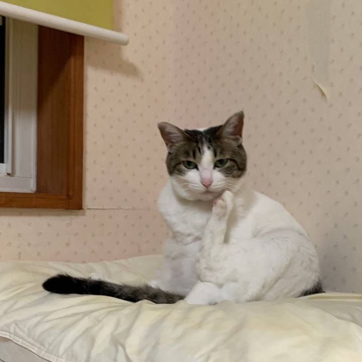 9211e025 2e34 4ab3 bb43 34fe509e76ac 1647000917309