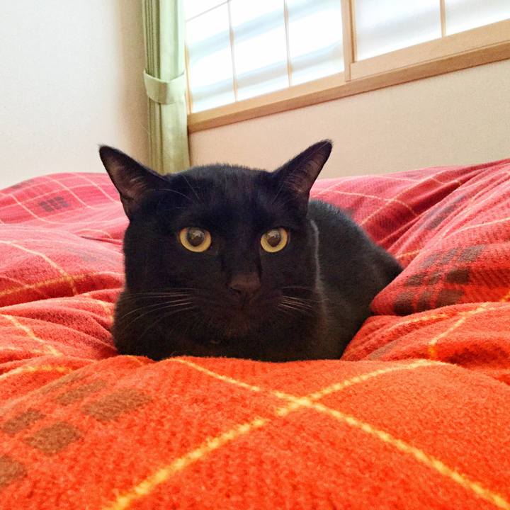 9211e1a0 44ef 4b12 87dd e05fae89fa85 1514439526987