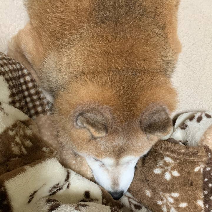 92120d02 d4a7 4b23 9abd ed2f4e95ae75 1602917311843