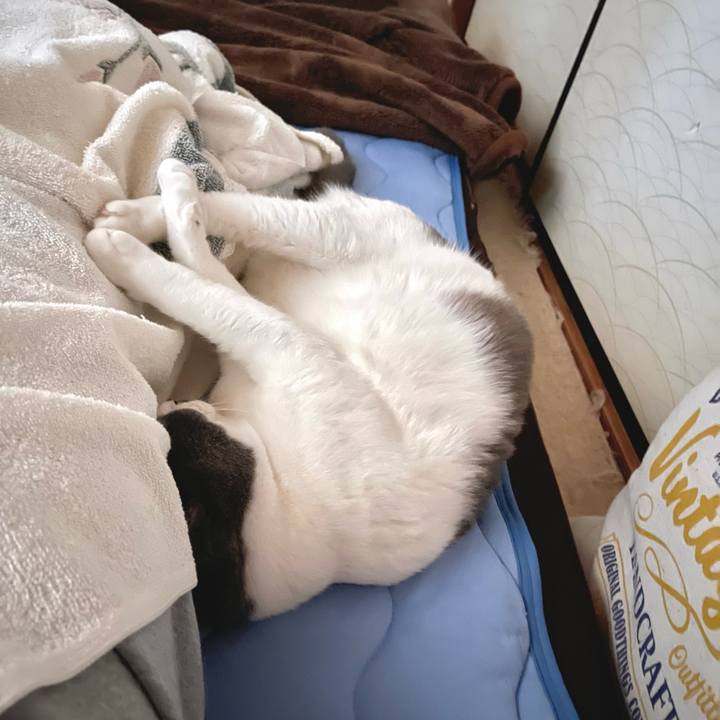 9212292e 464e 481a 89a6 78fef35548f6 1659907778913