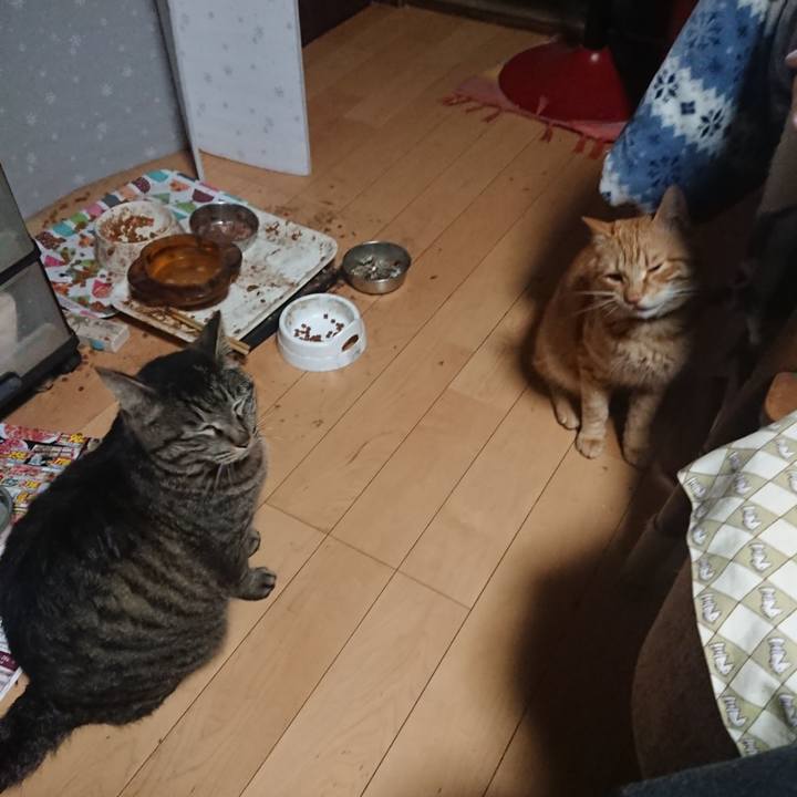 92124002 3cd4 4179 b688 080763fcaa09 1649886072491