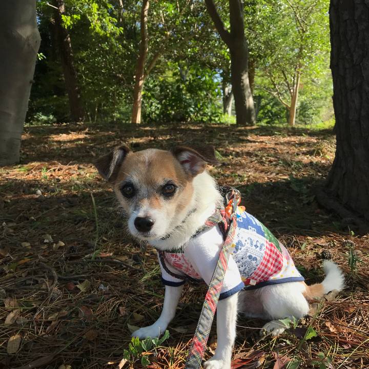 92124d2d 1b09 472c a315 c4e7b1cd9431 1571802002264