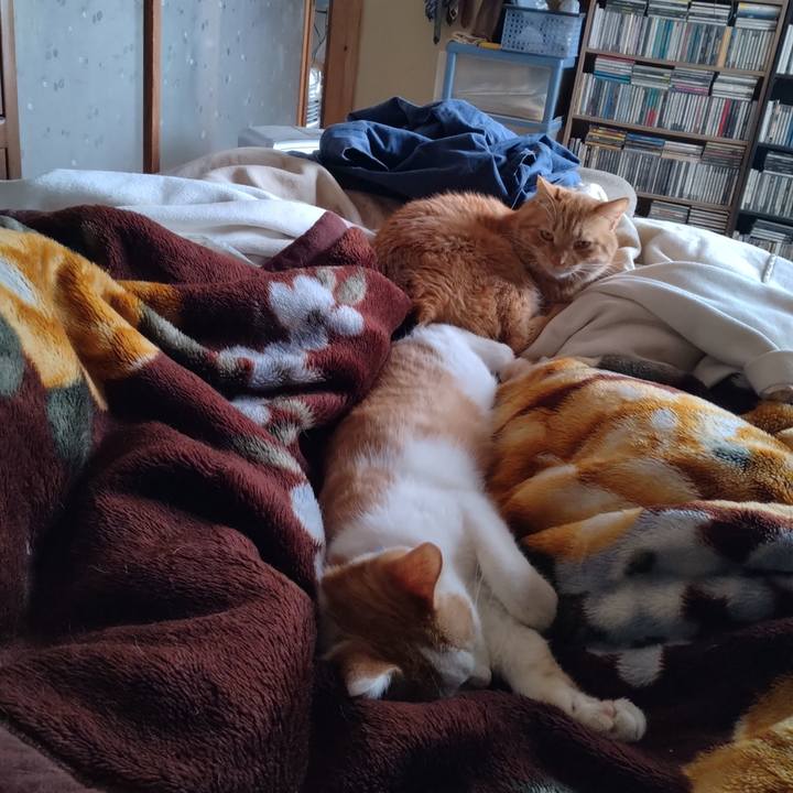 92127381 5779 4839 8e4a 52f452be64a3 1736843051886