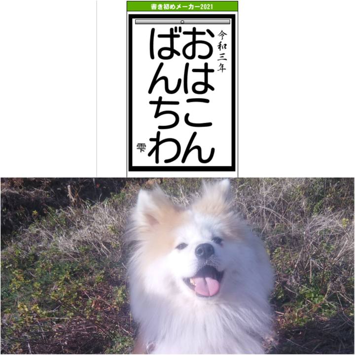 9212ca92 e584 4c6d a5e3 9dc1ad4787c6 1609685876911