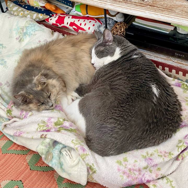 9212f083 f857 4258 a44a d88520894e5e 1767617327114