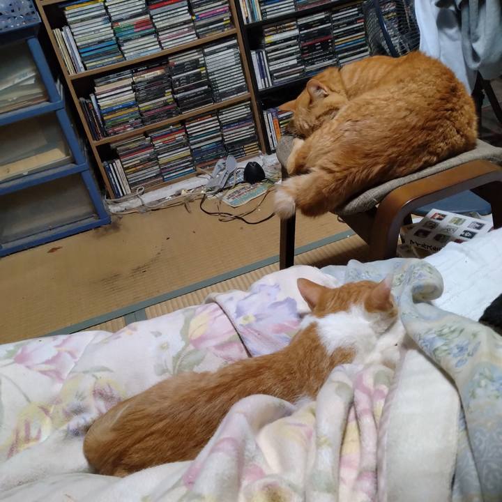 9213320c b56f 47dd a71a 481dede5ca1d 1727786784576