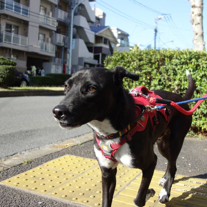 92137105 9cd6 485e 8df1 130d8dff3682 1586133039329