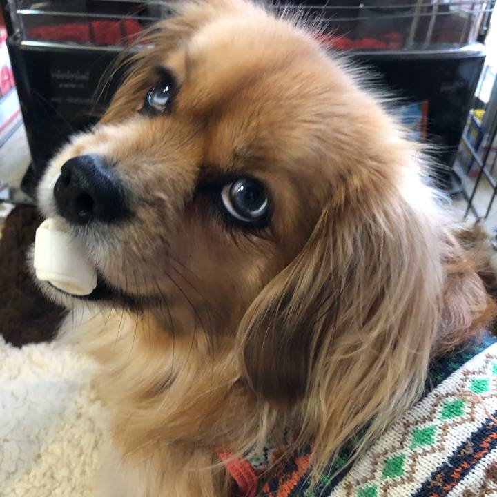 921372b9 278b 46d6 870c 96cf75cc7a2c 1552688810066