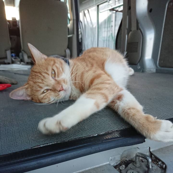 92138f12 2d56 4748 81d0 c32f67e5ff37 1567762851738