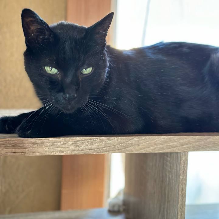 9213be6e fcbd 4852 a132 4bb72f566250 1690934645205