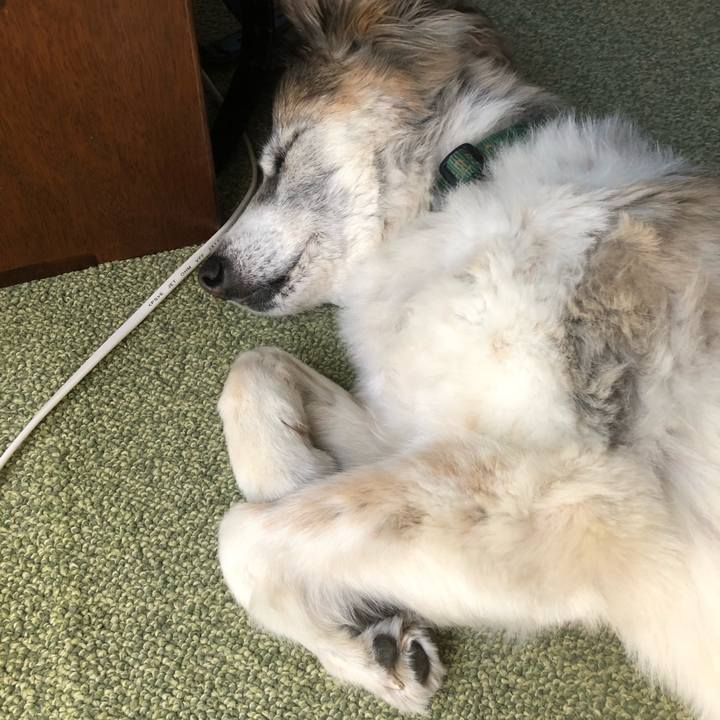 92147d72 854a 47d3 b46c c5a5695400a5 1526782747186