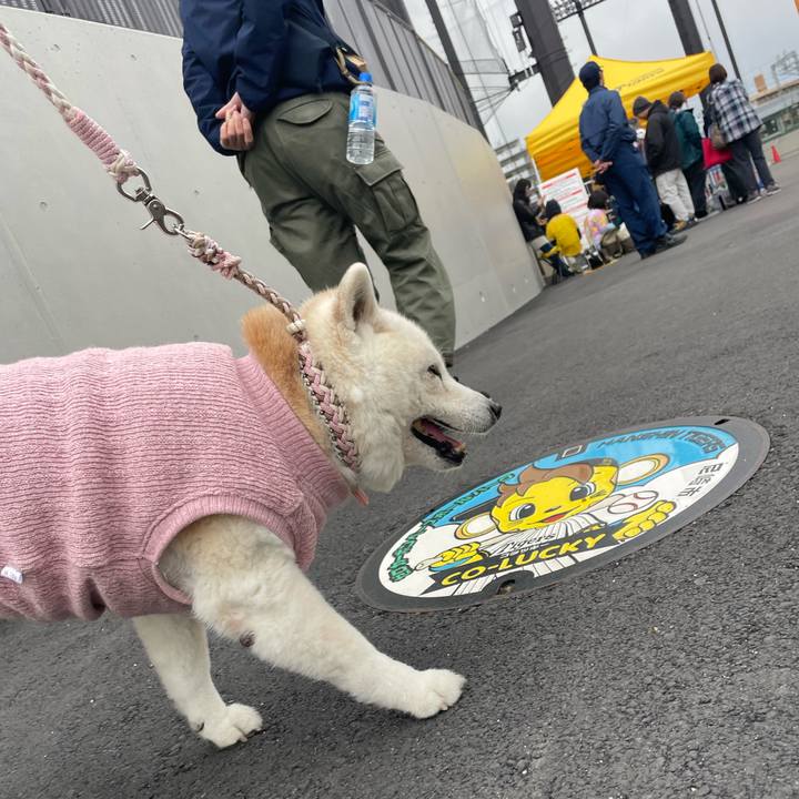 921485af 6b7d 4810 bad9 776884b1547f 1742046626112