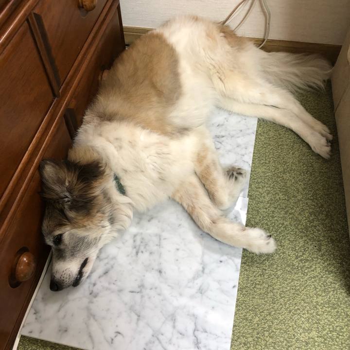 921493fd b466 4f4f bace 341b3a74ed56 1529886898723