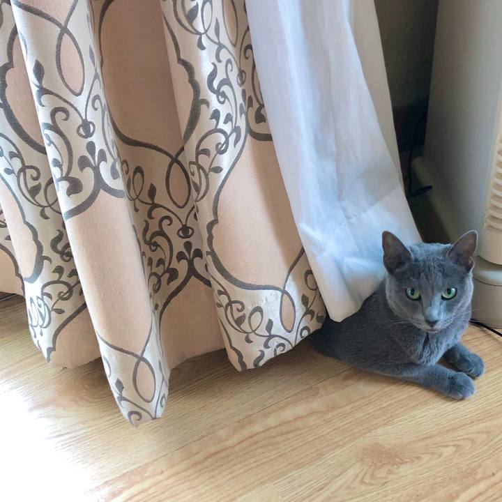 9214953c cb82 4e4b 8451 970e6c5b1628 1623998223590