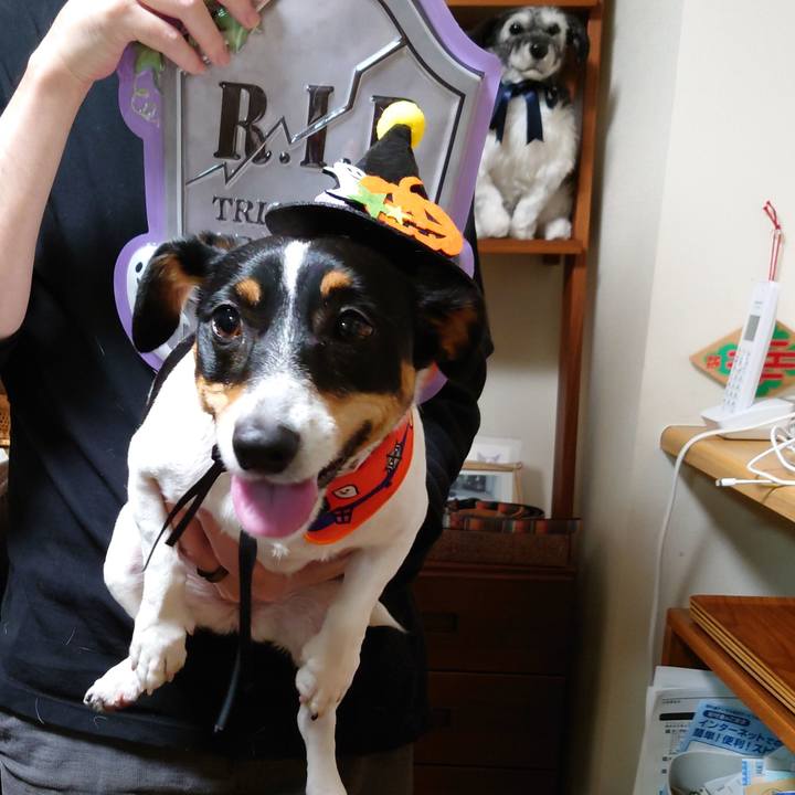 921499c5 f940 44b7 9ba6 cfcbc9c132cf 1667184315618