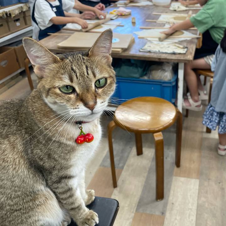 9214b77e 17d5 4377 8f9d 1afc5432e6e9 1753452978990