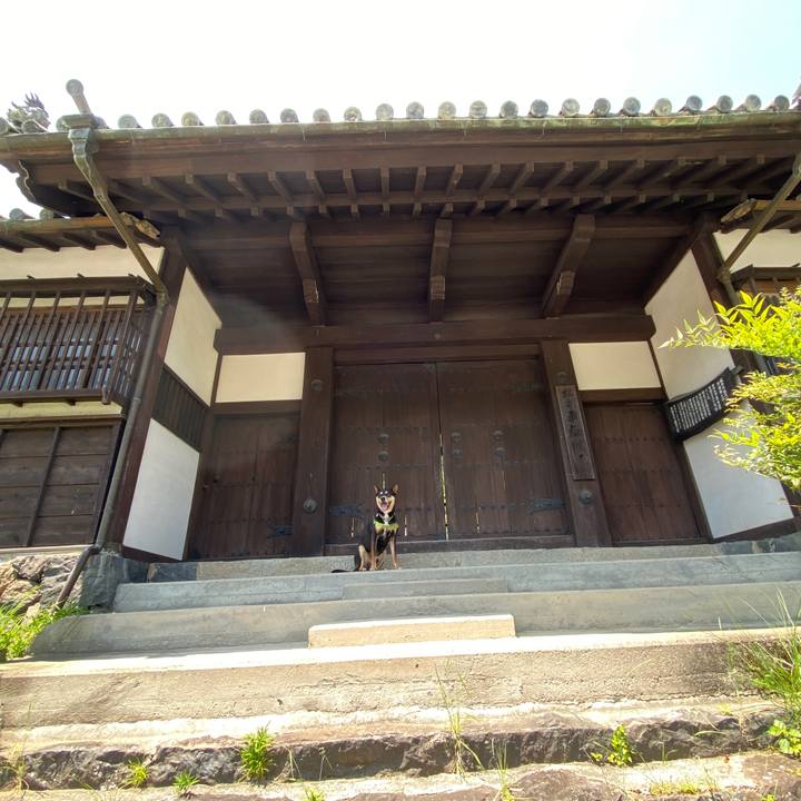 9214cb10 852a 44bc b5b5 7ab68f52f698 1621766669604