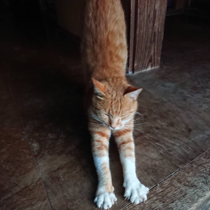 9214dbce 5e33 48ac a19e e03958be5fa0 1596400822284