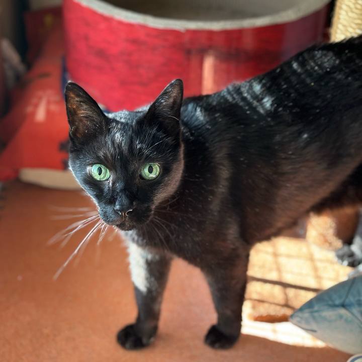 9214dde5 f6ef 4ce4 8e92 feed8915e394 1689903762582