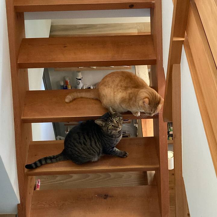 9214e37c 1543 4c5d 9a78 11a07e001028 1676901954500