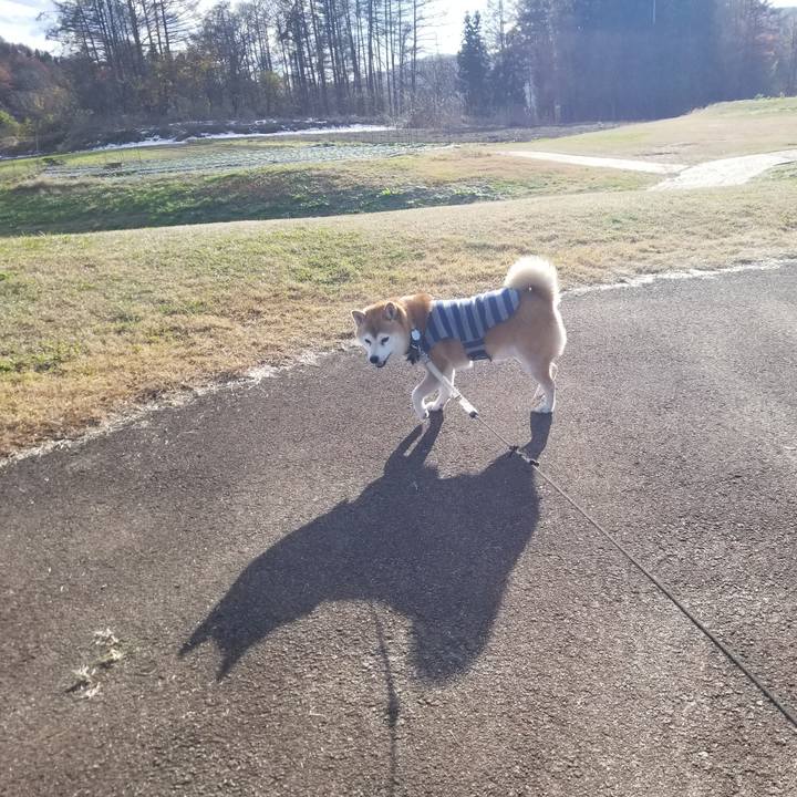 9215184a b06d 4a9f 9644 214e7ab2e80c 1638335793358