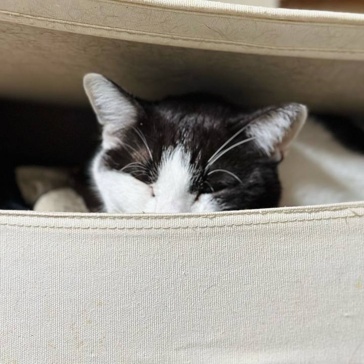 92152f22 5081 480c 9372 d82d05dc9794 1679795301454