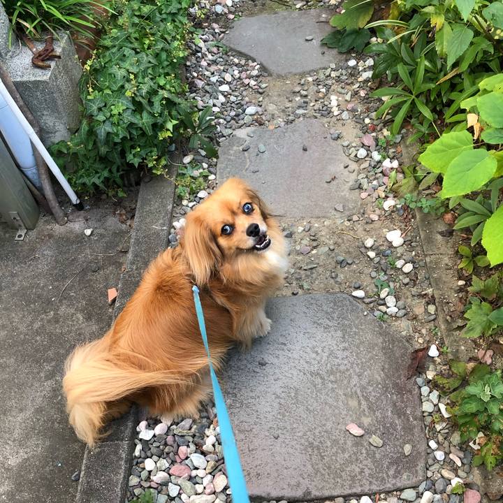 92153f08 7c1e 41c8 a442 c69d7b53818f 1565733079837