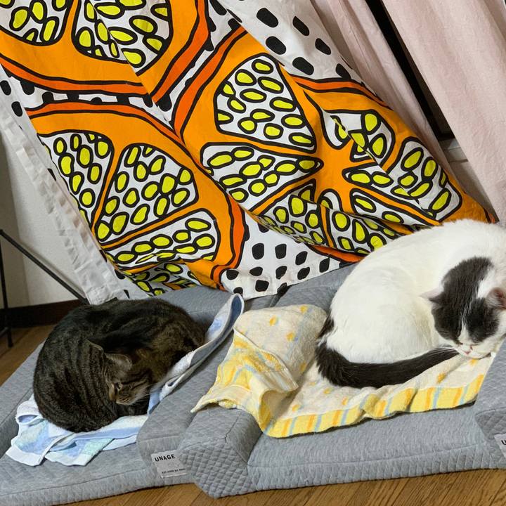 92156a70 b7c9 440c a6d0 fd0be77b108d 1604185841125