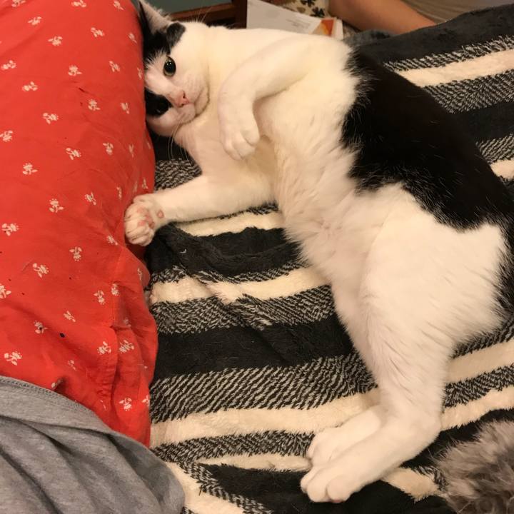 92157b2c 7f98 4f56 8c9e 79ff33c10951 1522502179425