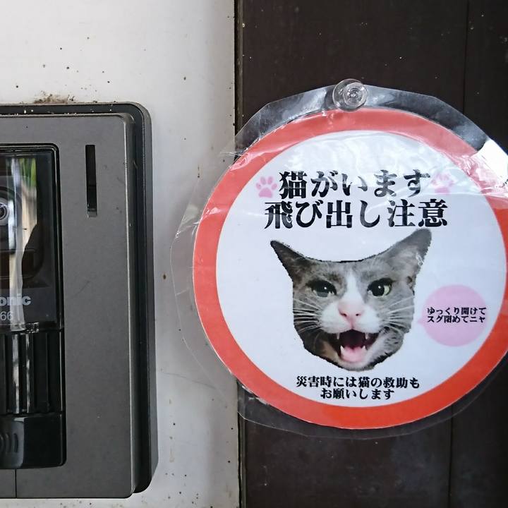 921580a5 ad7d 45b3 9e43 7df4d9422da8 1508482401588