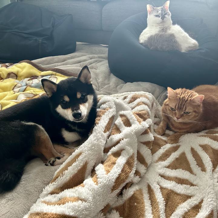 9215ae48 2cda 4dce 9362 827052d893e6 1708411746515