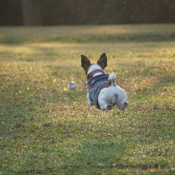 9215b4f4 ef36 4c74 98f7 8d0cec970c81 1573167596026