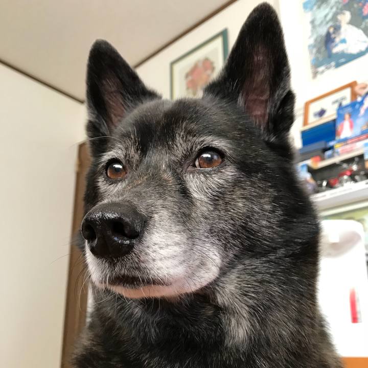 9215ba3b ffbc 43c3 b616 86c4ac36fcfb 1511951803655