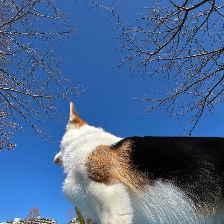 92160822 6a17 42e4 819c 3506cee53623 1768365780703