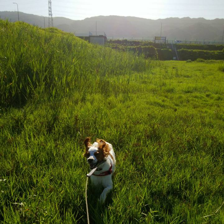 92161840 6cad 4324 baf3 7ef44ad6f344 1534470140950