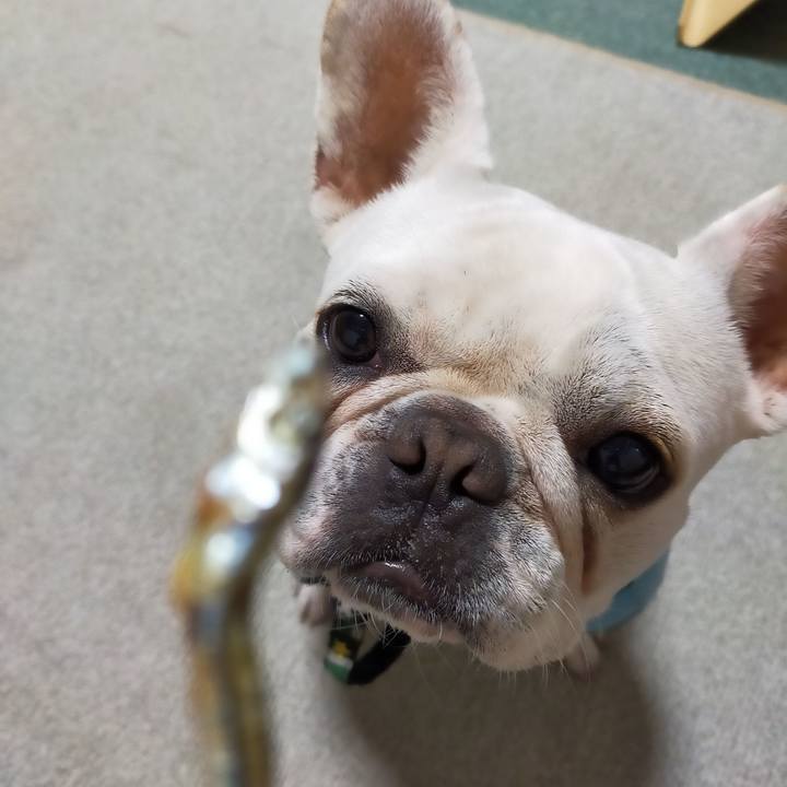 92161f28 9c96 40c3 8ca2 14d6ae19270a 1636289279182